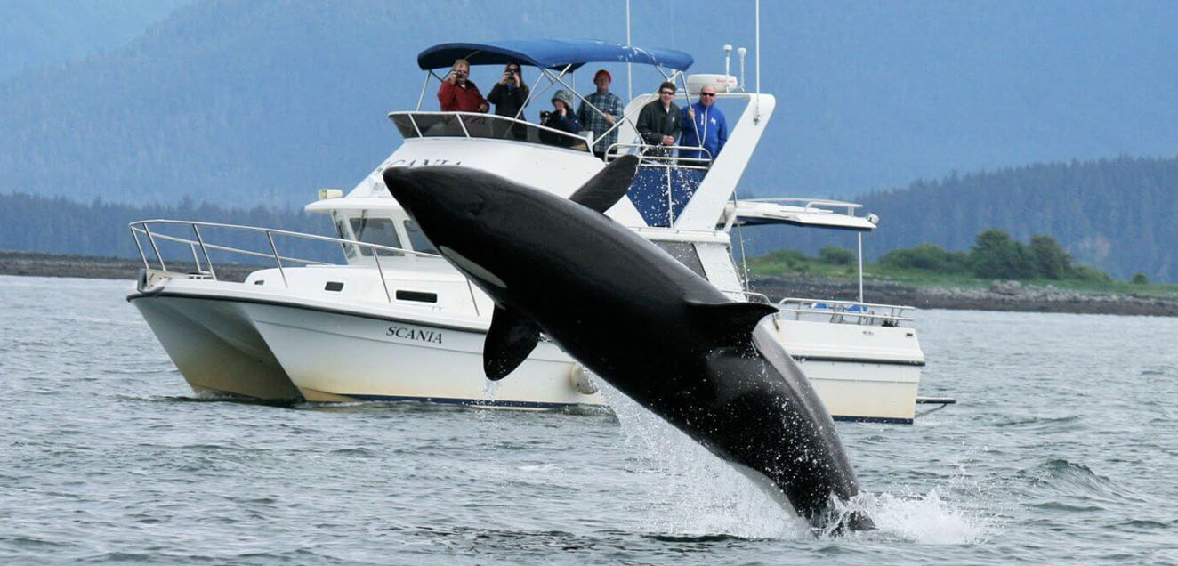 Mathew Transport & Tours